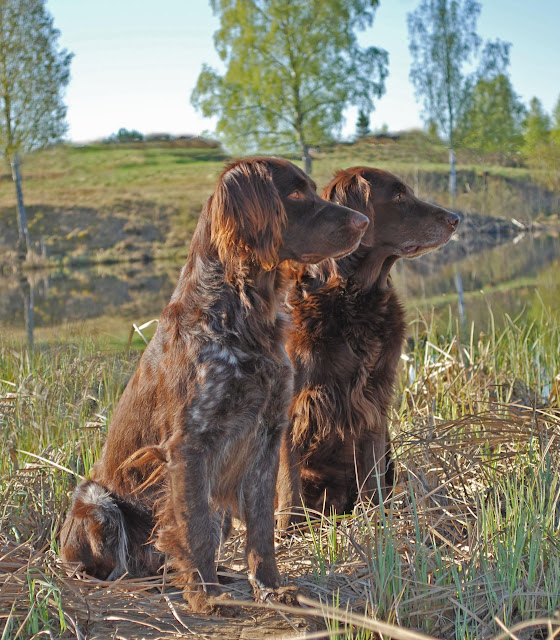 M&T sjön M&T sjön